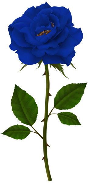 This png image - Blue Rose PNG Transparent Clipart, is available for free download