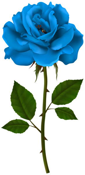 Blue Rose Stem PNG Transparent Clipart | Gallery Yopriceville - High ...