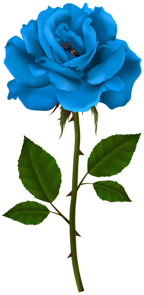 This png image - Blue Rose Stem PNG Transparent Clipart, is available for free download
