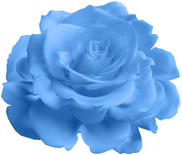 This png image - Blue Rose Transparent Clip Art Image, is available for free download