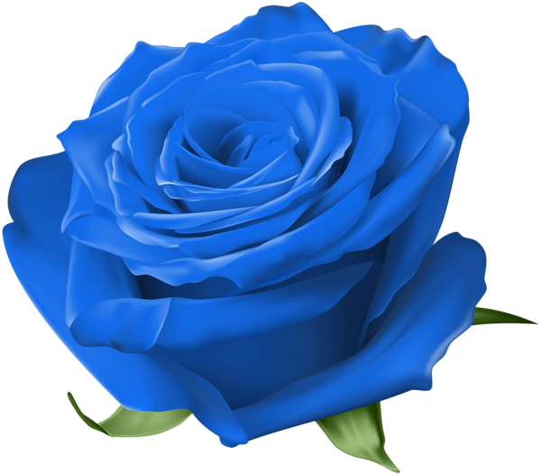 This png image - Blue Rose Transparent Image, is available for free download