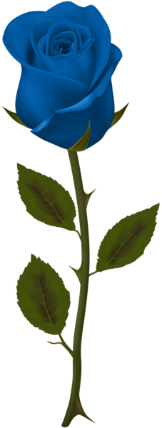 This png image - Blue Rose Transparent PNG Clip Art, is available for free download
