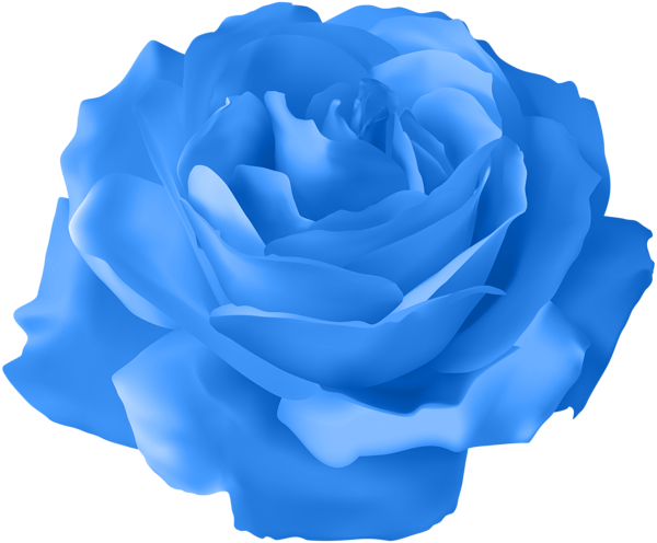 Blue Rose Transparent PNG Clip Art Image | Gallery ...