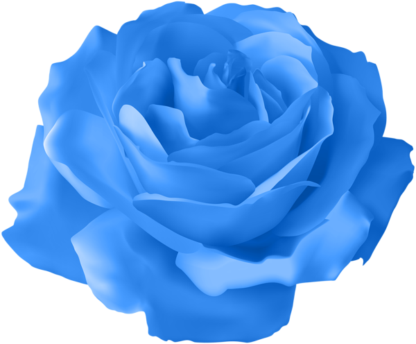 This png image - Blue Rose Transparent PNG Clip Art Image, is available for free download
