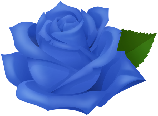 This png image - Blue Rose Transparent PNG Clipart, is available for free download