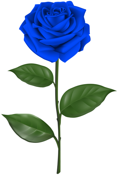 This png image - Blue Rose with Stem Transparent Clipart, is available for free download