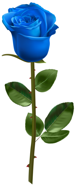this png image - blue rose with stem transparent image, is