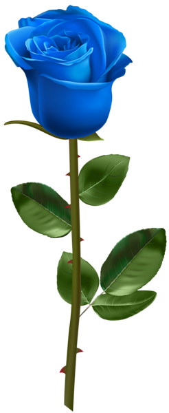 This png image - Blue Rose with Stem Transparent Image, is available for free download