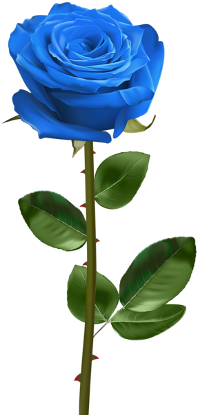 This png image - Blue Rose with Stem Transparent PNG Image, is available for free download