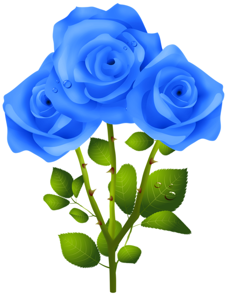 This png image - Blue Roses PNG Transparent Clipart, is available for free download