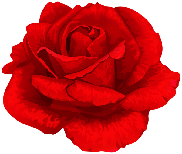 This png image - Bright Rose Transparent PNG Clipart, is available for free download