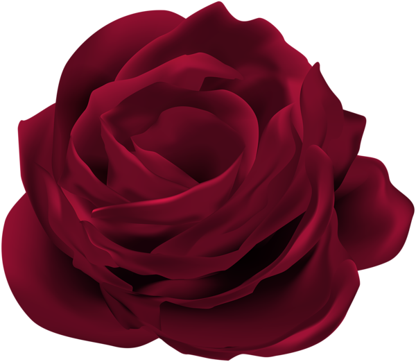 This png image - Dark Red Rose Flower PNG Clip Art Image, is available for free download