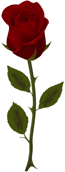 This png image - Dark Red Rose Transparent PNG Clip Art, is available for free download