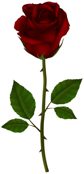 This png image - Dark Rose PNG Transparent Clipart, is available for free download