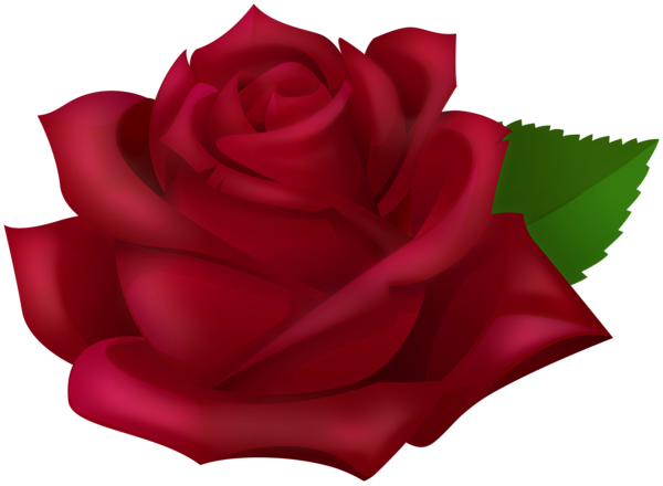 This png image - Dark Rose Transparent PNG Clipart, is available for free download