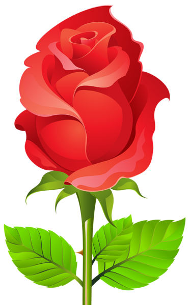 This png image - Deco Rose PNG Clip Art PNG Image, is available for free download