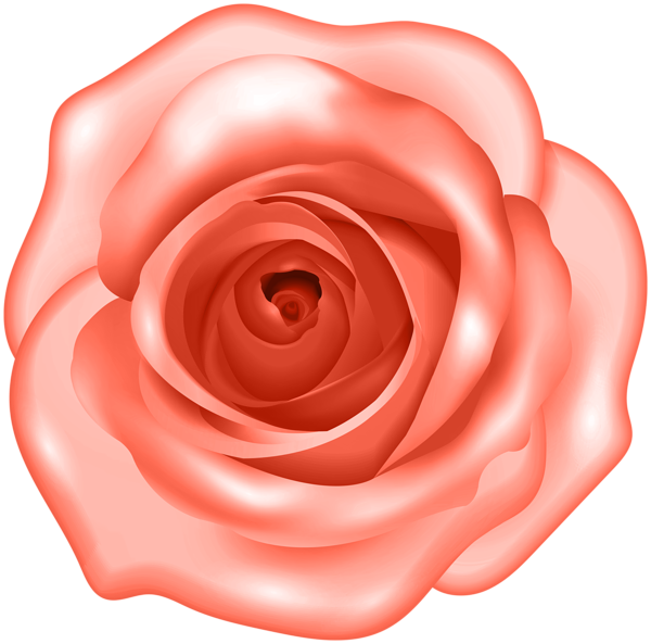 This png image - Decorative Peach Rose PNG Clipart, is available for free download