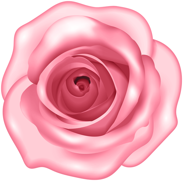 This png image - Decorative Pink Rose PNG Clipart, is available for free download