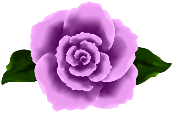This png image - Decorative Purple Rose Transparent Image, is available for free download