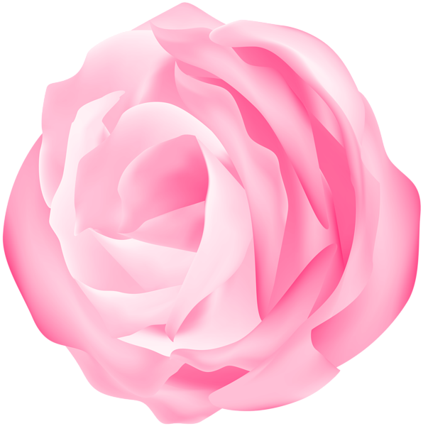 This png image - Decorative Rose Pink Transparent Image, is available for free download