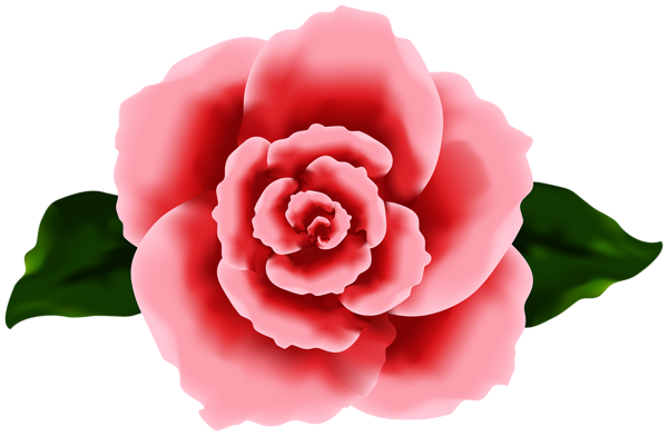 This png image - Decorative Rose Red Transparent Image, is available for free download