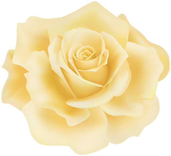 This png image - Delicate Yellow Rose PNG Clipart, is available for free download