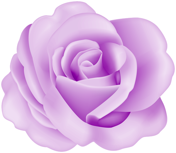 This png image - Flower Rose Purple Transparent Image, is available for free download
