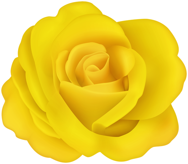 Flower Rose Yellow Transparent Image | Gallery Yopriceville - High ...