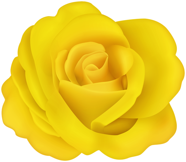 This png image - Flower Rose Yellow Transparent Image, is available for free download