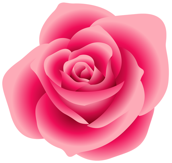 This png image - Large Pink Rose Clipart, is available for free download