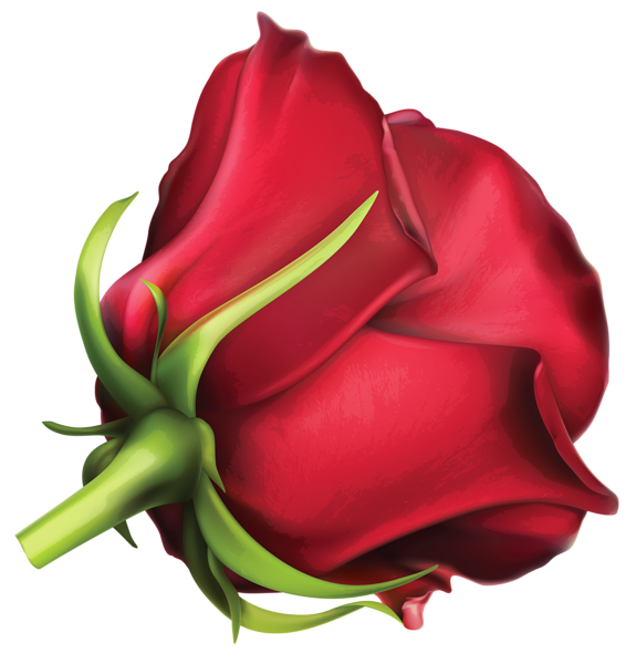 This png image - Large Red Rose PNG Clipart Image, is available for free download
