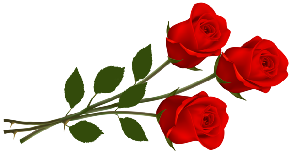 This png image - Large Red Roses PNG Clipart, is available for free download