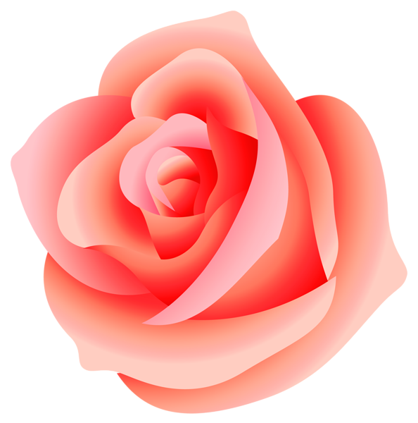 This png image - Large Rose PNG Picture, is available for free download