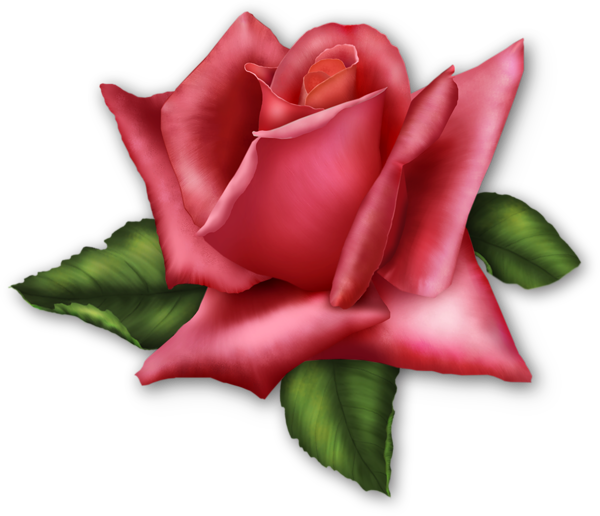 This png image - Large Transparent Rose Element, is available for free download
