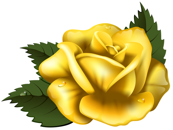 This png image - Large Yellow Rose Transparent PNG Clip Art Image, is available for free download
