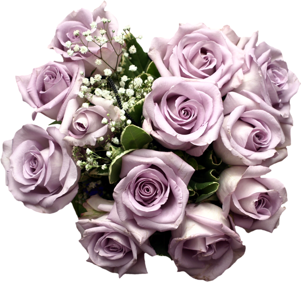 This png image - Light Purple Rose Bouquet Clipart, is available for free download