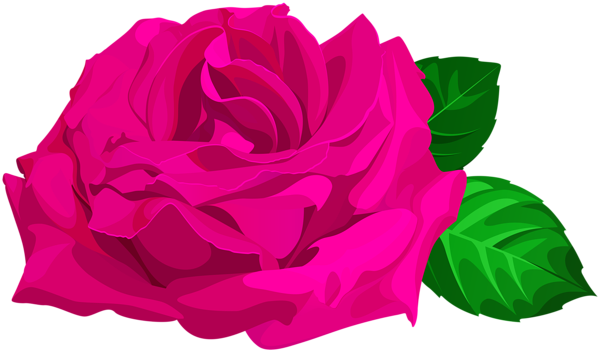 This png image - Magenta Rose with Leaves PNG Clipart, is available for free download
