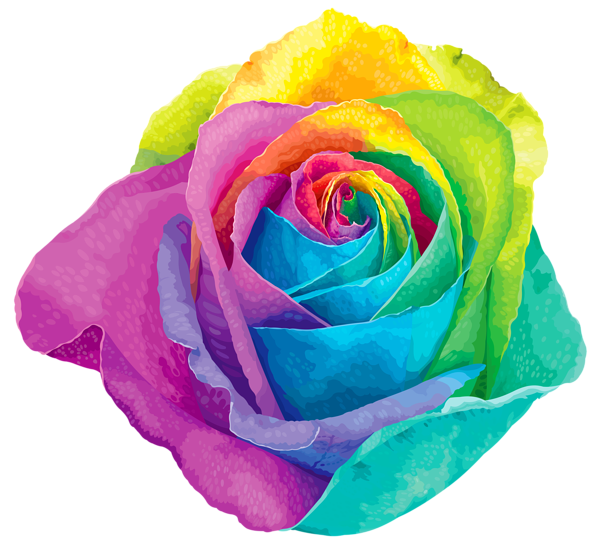 This png image - Multicolored Rainbow Rose Transparent PNG Clip Art Image, is available for free download