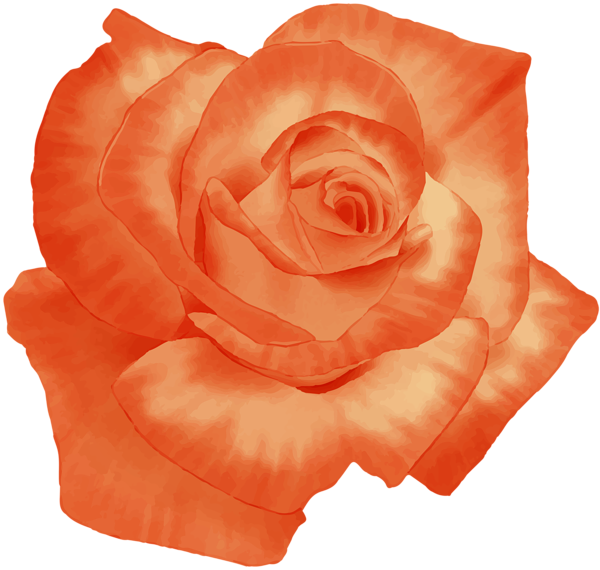 This png image - Orange Art Rose PNG Clipart, is available for free download