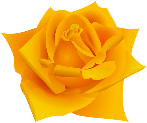 This png image - Orange Color Rose Flower PNG Clipart, is available for free download