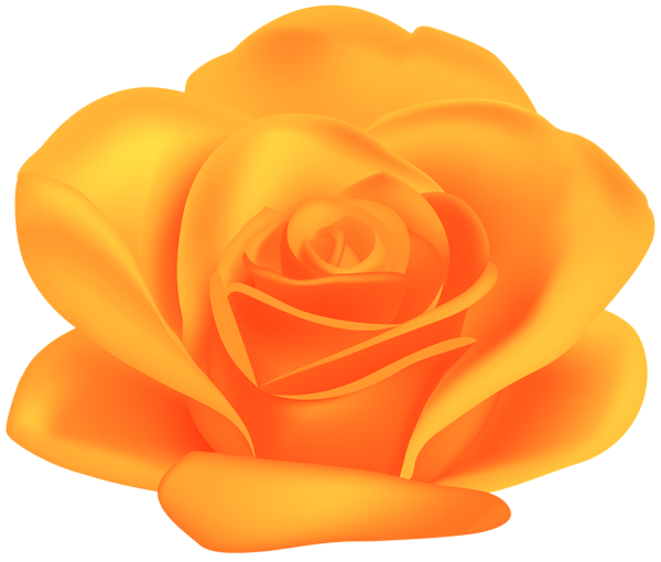 This png image - Orange Flower Rose Transparent Image, is available for free download