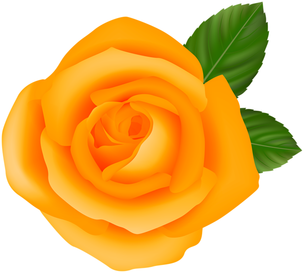 This png image - Orange PNG Rose Clipart, is available for free download