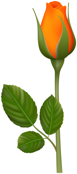 This png image - Orange Rose Bud PNG Clipart, is available for free download