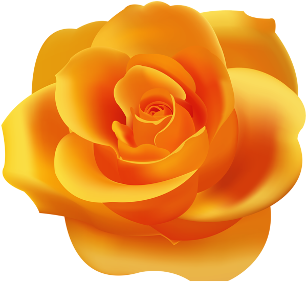 This png image - Orange Rose PNG Clip Art, is available for free download