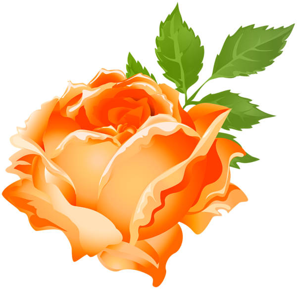 Orange Rose PNG Clip Art Image | Gallery Yopriceville - High-Quality ...