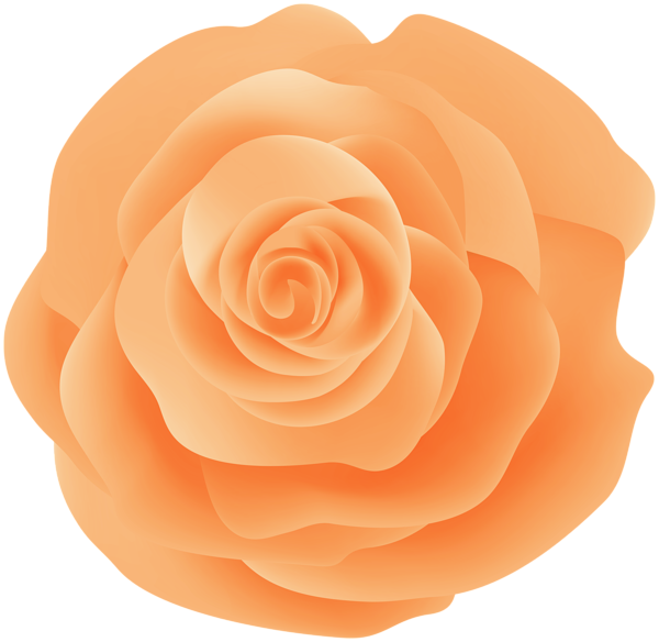 This png image - Orange Rose PNG Decorative Clipart, is available for free download