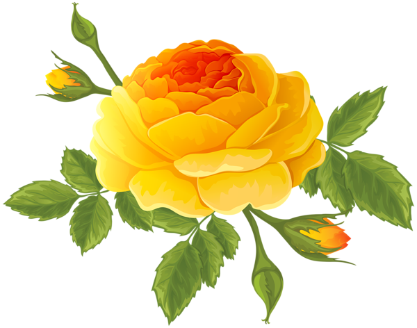 This png image - Orange Rose with Buds PNG Clip Art Image, is available for free download