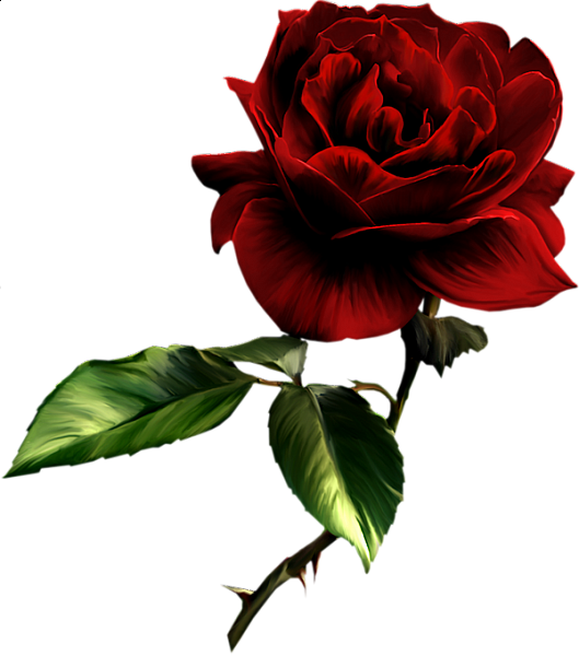 This png image - Painted Red Rose Clipart, is available for free download