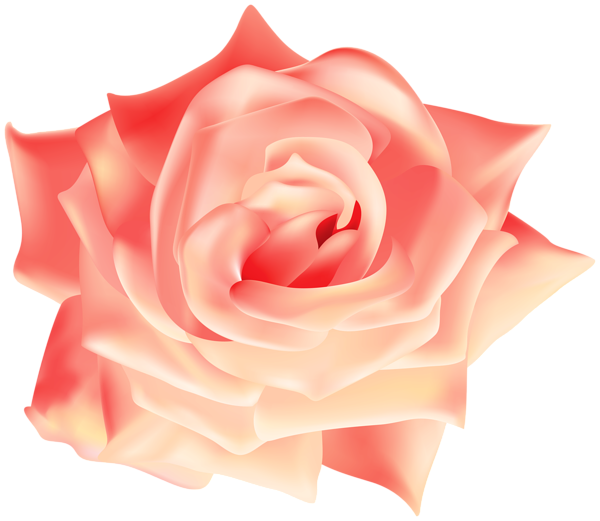 This png image - Peach Rose Transparent Image, is available for free download