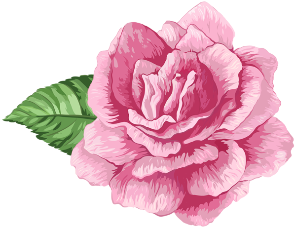 This png image - Pink Art Rose PNG Clip Art Image, is available for free download